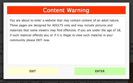 Adult Website Warning 4