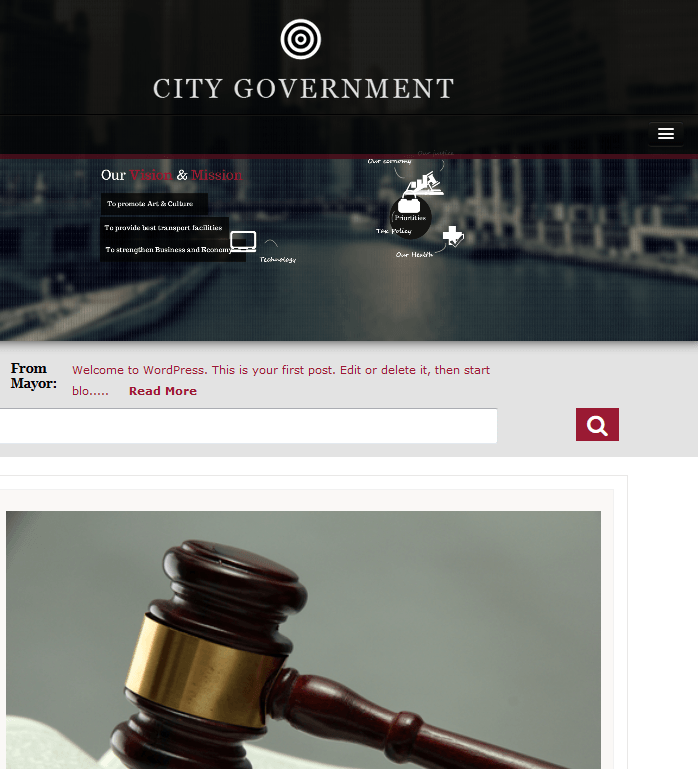 city government