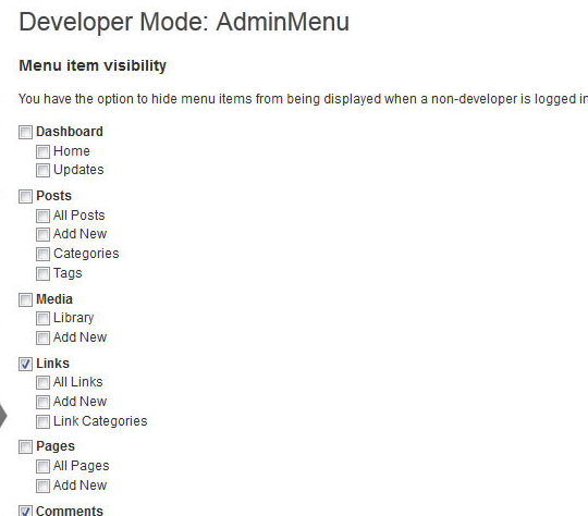 developer mode