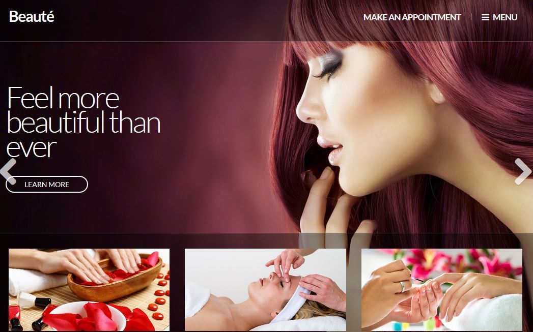 11 Wordpress Themes For Hair Salons Spas Wp Solver