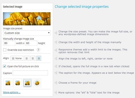 best image resizer plugin for wordpress best image resizer plugin for wordpress