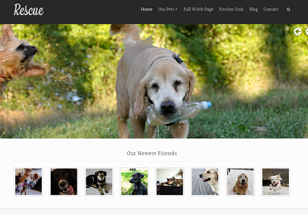 websites like petfinder