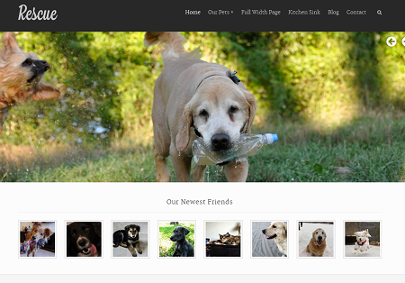 Dog sales adoption sites