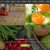 FoodFarm: WordPress Theme for Farms