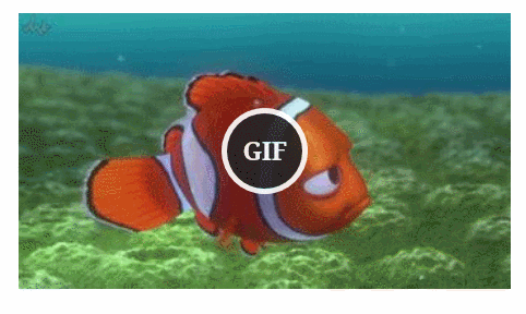 WP GIF Editor and Uploader - GrandPlugins