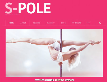S-Pole