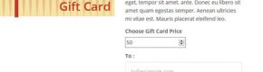 WooCommerce Ultimate Gift Card Plugin