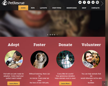 animal rescue website