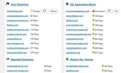 check website domain provider