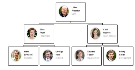 Easy Org Chart Wordpress