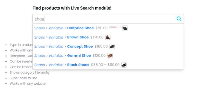 Live Search for WooCommerce Extension - WP Solver 1