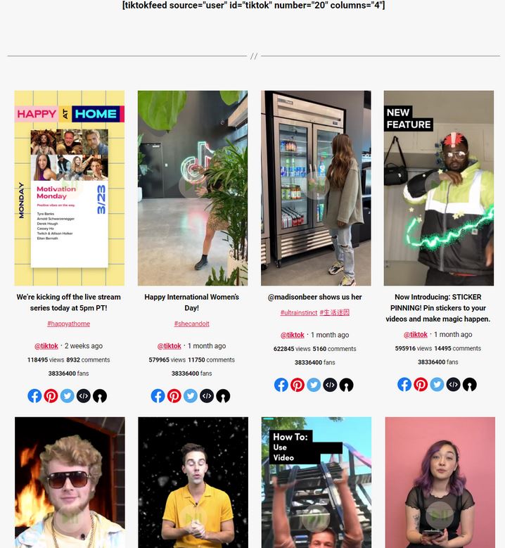 TikTok for WordPress Displays TikTok Videos & Feeds 2