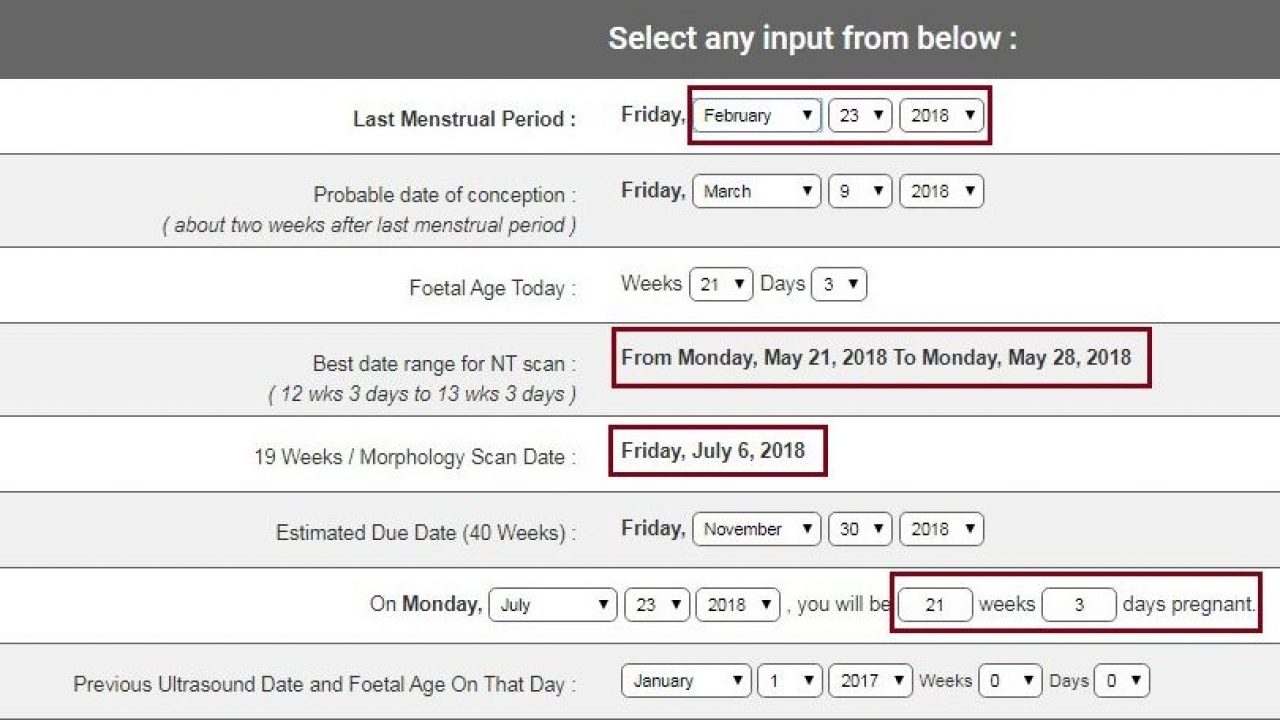Pregnancy Calculator For Wordpress Wp Solver Pregnancy Calculator For Wordpress Wp Solver