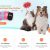 Jinx: WooCommerce Theme for Pet Stores