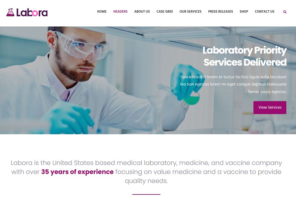 15 WordPress Themes for Science Research Labs 13