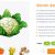 Nutrey: WordPress Theme for Organic Food Shops Nutrey WP