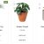Plantify Divi WordPress Theme for Plant Shop plantify wp